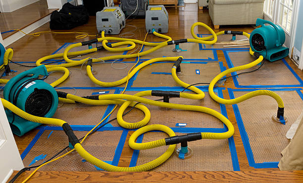 Professional Emergency Water Removal technician working in Hunters, WA